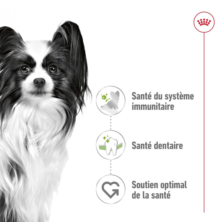 Royal Canin -  Croquettes X SMALL ADULT CHIEN DE TRES PETITE TAILLE - 500G Image numéro 10 Royal Canin -  Croquettes X SMALL ADULT CHIEN DE TRES PETITE TAILLE - 500G Image numéro 10