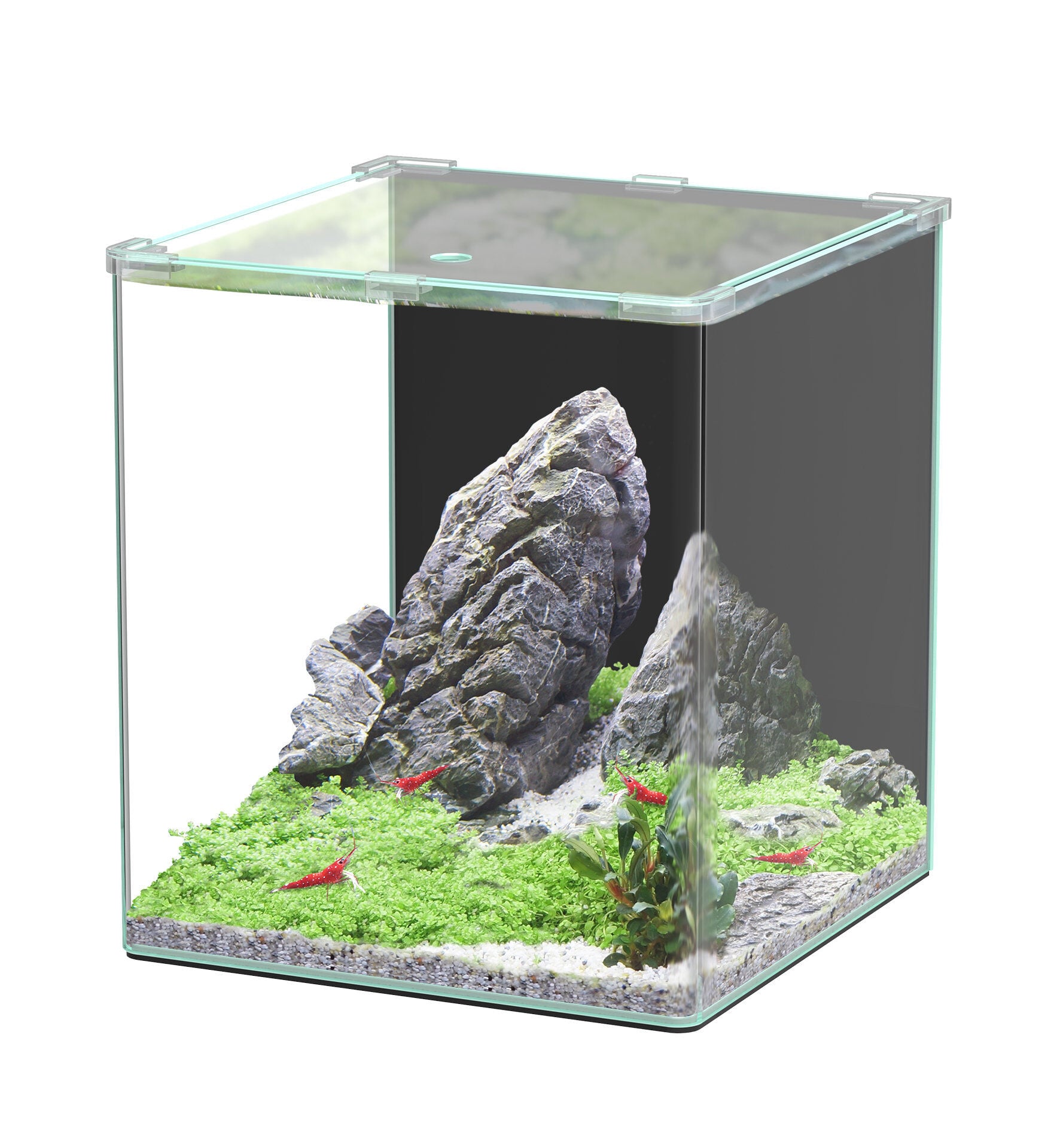 Aquatlantis - Aquarium Kubus Curve 44L - Basic Image num&eacute;ro 1