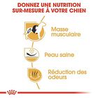 Royal Canin - Croquettes Bouledogue Français pour Chien Adulte - 3Kg image number null