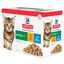 Hill's Science Plan - Kitten Multipack 12 Sachets Repas Pour Chaton Poulet Et Poisson  - 12x85g Indicateur image numéro 1