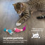 Outward Hound - Jouet à Mâcher Dental Shrimpies pour Chats - x2 Indicateur image numéro 6