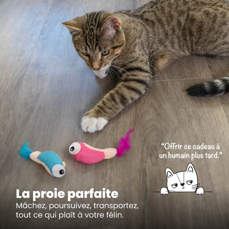 Outward Hound - Jouet à Mâcher Dental Shrimpies pour Chats - x2 Image numéro 6 Outward Hound - Jouet à Mâcher Dental Shrimpies pour Chats - x2 Image numéro 6