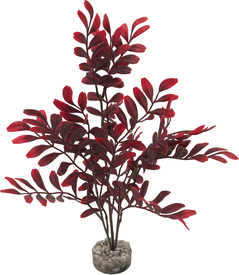 Labeo - Plante Décorative Arbre Longues Feuilles pour Aquarium