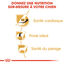 Royal Canin - Croquettes Cavalier King Charles Adult - 1,5Kg Indicateur image numéro 3
