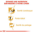 Royal Canin - Croquettes Cavalier King Charles Adult - 1,5Kg image number null