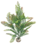 Labeo - Arbre assorti grand modèle - Plante Artificielle Aquarium Indicateur image numéro 4
