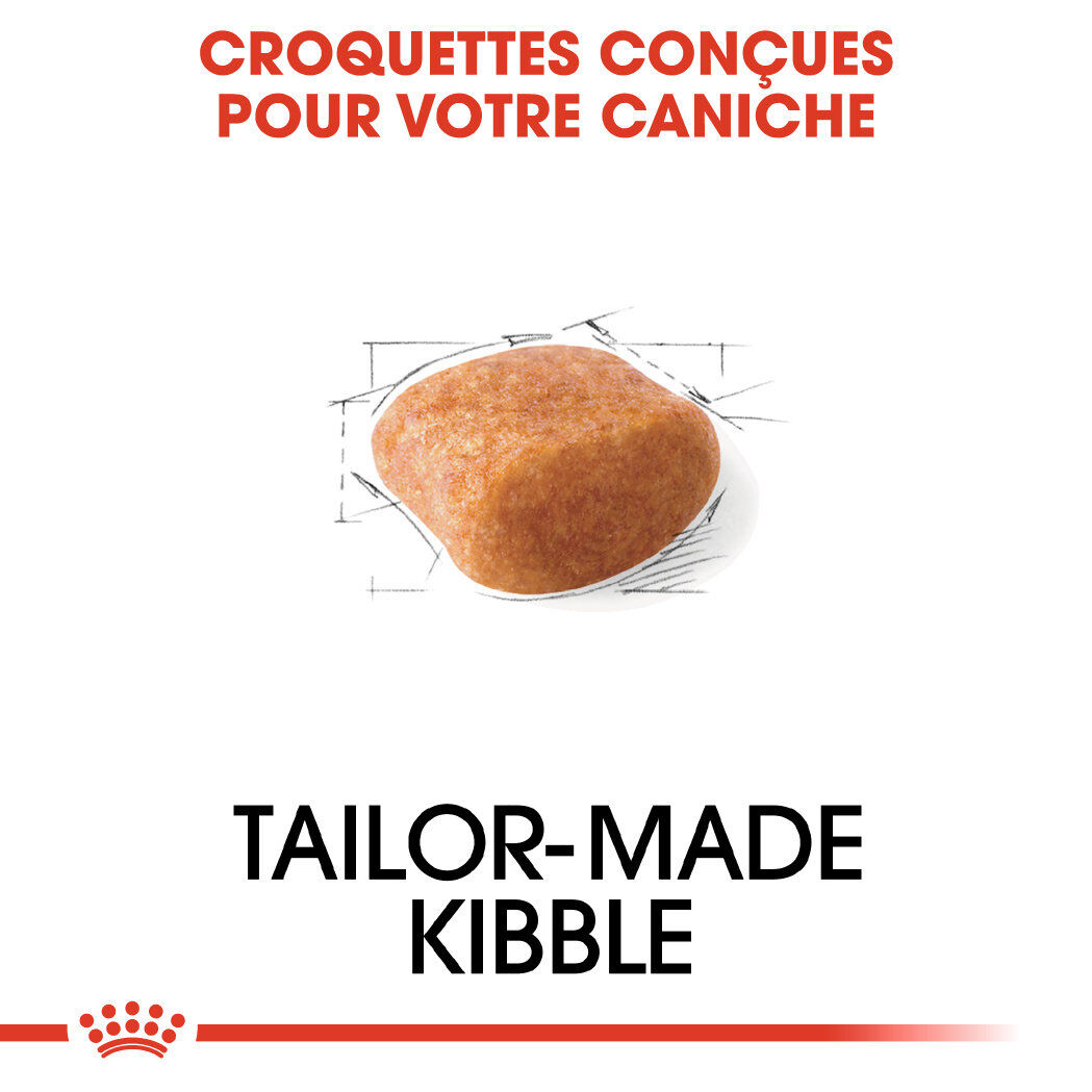 Royal Canin - Croquettes Poodle Adult Caniche pour Chien - 1,5Kg Image num&eacute;ro 3