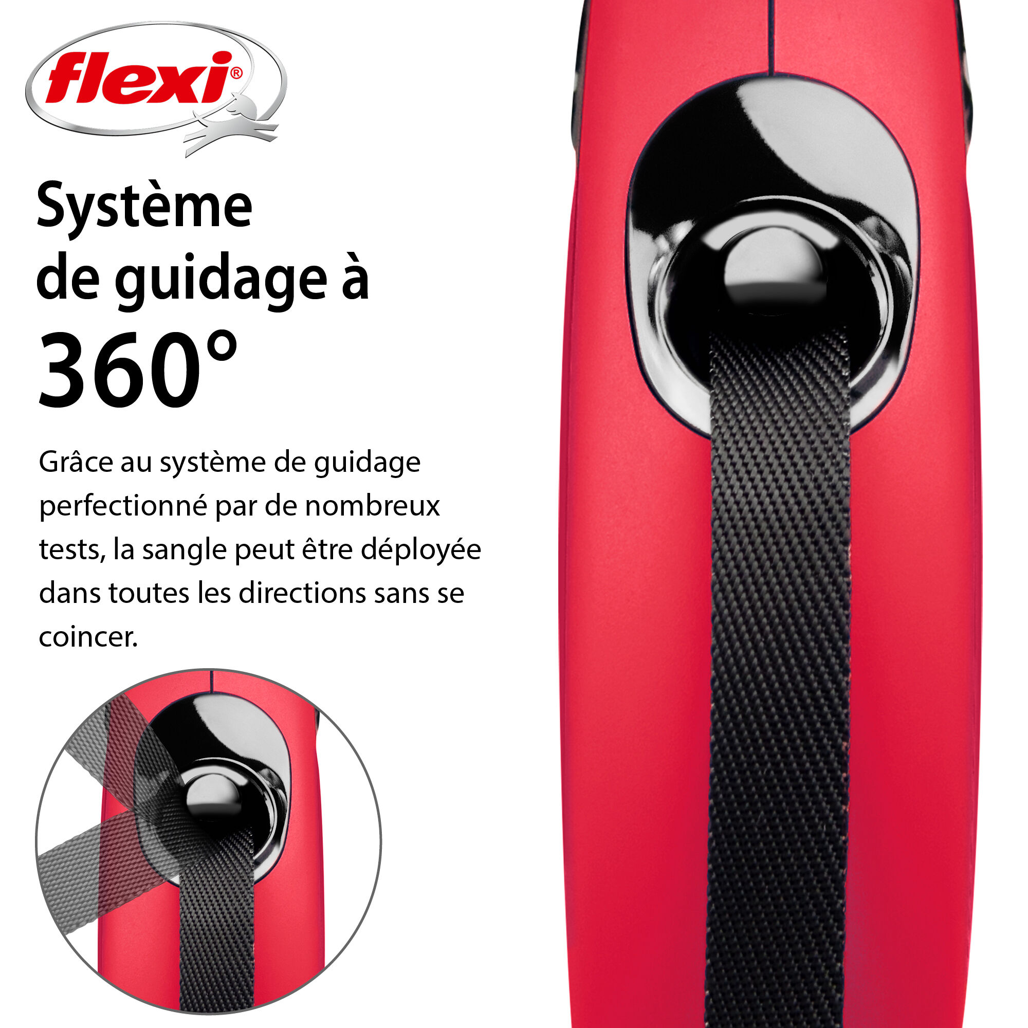 Flexi - Laisse Classic avec Sangle pour Chien Rouge - S (5m) Image num&eacute;ro 5