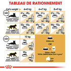 Royal Canin - Croquettes Maine Coon Adult pour Chat - 400g  image number null