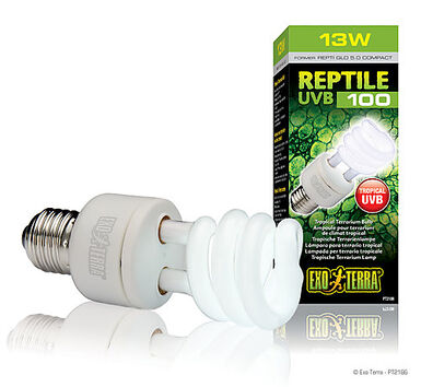 Exo Terra - Ampoule UVB 100 Fluocompact pour Terrarium Reptile