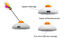 PAWBO - Jouet Interactif Pawbo Catch pour Chat Indicateur image numéro 4