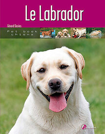 Artémis - Le Labrador