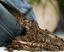 Eublepharis - Sol Nutritif Bio-Active Premium Tropical Soil - 10Kg Indicateur image numéro 5
