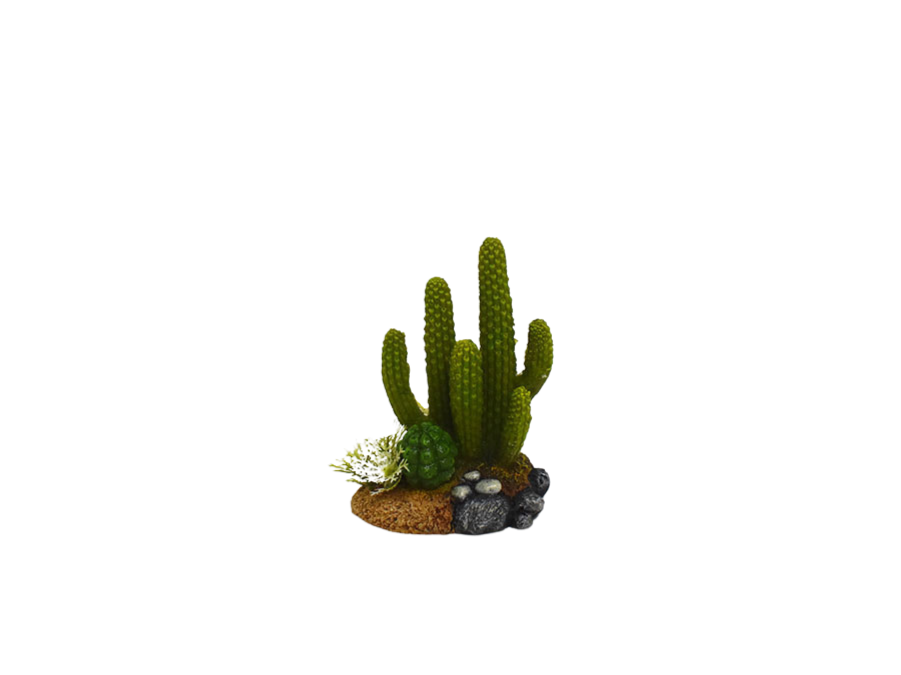 Amtra - D&eacute;coration Mexico Cactus 6 pour Aquarium Image num&eacute;ro 1