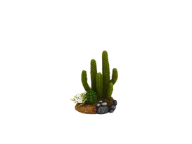 Amtra - D&eacute;coration Mexico Cactus 6 pour Aquarium