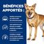 Hill's - Croquettes Prescription Diet I/D Digestive Care pour Chiens - 12Kg Indicateur image numéro 4