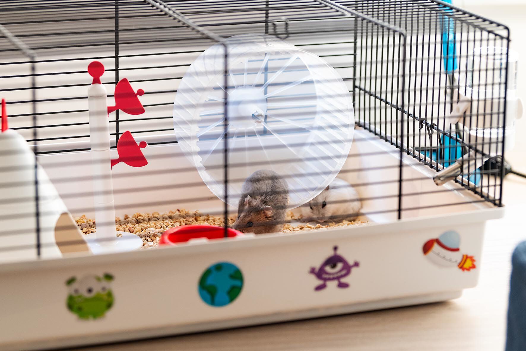 Ferplast - Cage Criceti 9 Space pour Hamsters Image num&eacute;ro 9