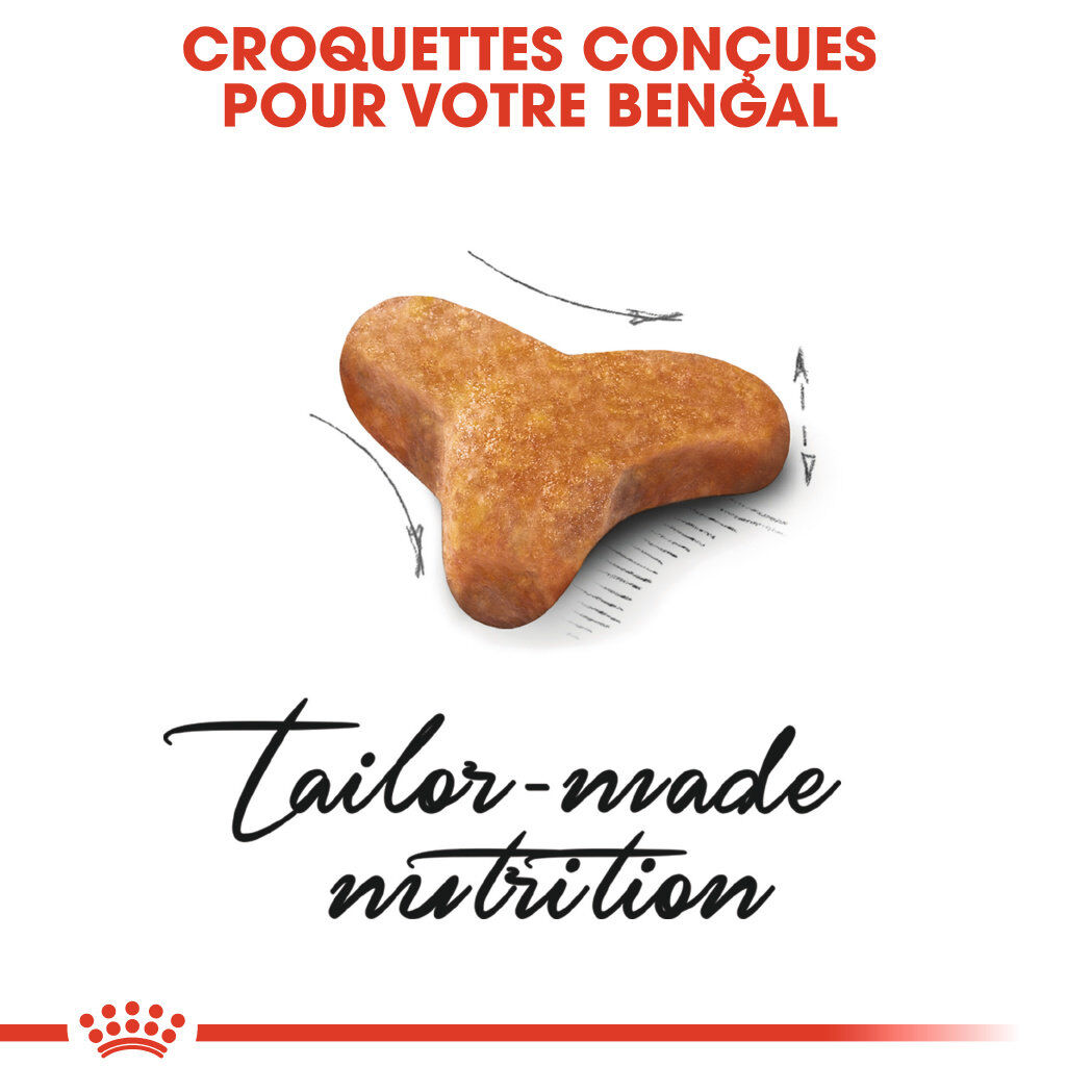 Royal Canin - Croquettes Bengal pour Chat Adulte - 2Kg Image num&eacute;ro 4