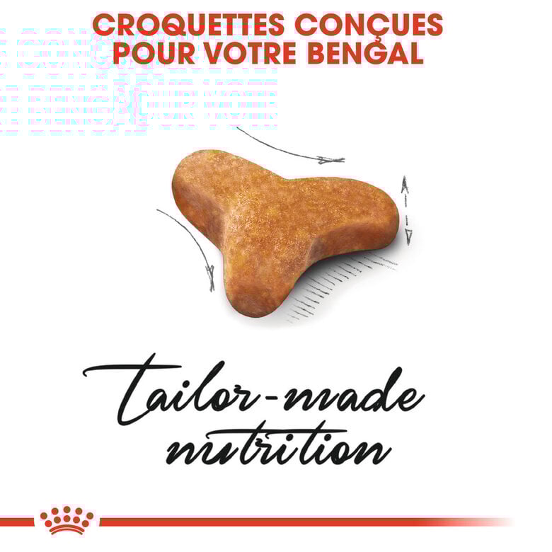 Royal Canin - Croquettes Bengal pour Chat Adulte - 2Kg Image numéro 4 Royal Canin - Croquettes Bengal pour Chat Adulte - 2Kg Image numéro 4