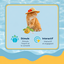 Summer Vibes - Jouet Tortue pour Chats - 16cm Indicateur image num&eacute;ro 5