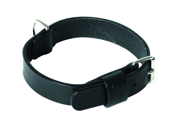 Martin Sellier - Collier avec Bords Ronds Noir pour Chien - 25/50cm Image num&eacute;ro 1