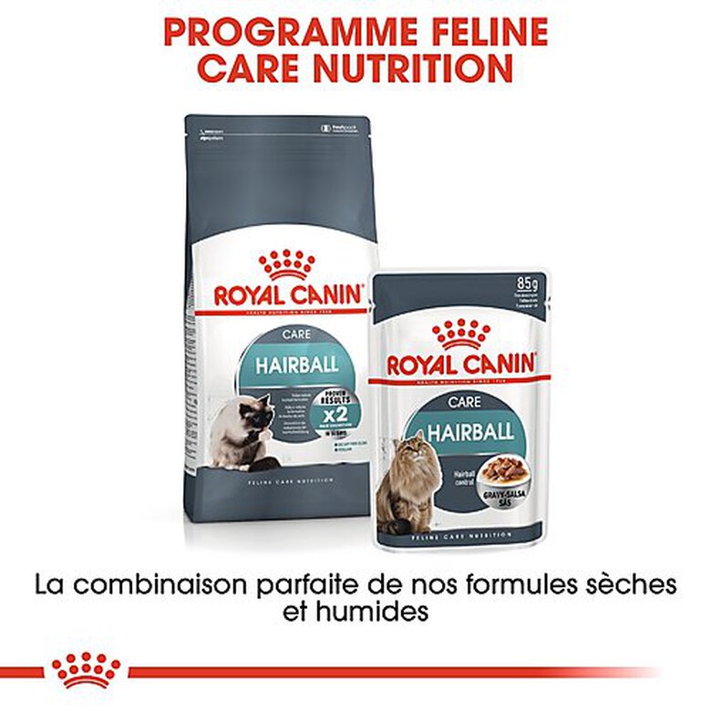 Royal Canin - Croquettes Hairball Care pour Chat - 4Kg Image numéro 8 Royal Canin - Croquettes Hairball Care pour Chat - 4Kg Image numéro 8