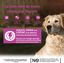 Wellness CORE - Repas Complet 95% de Dinde et Chèvre pour Chien - 400g Indicateur image numéro 3