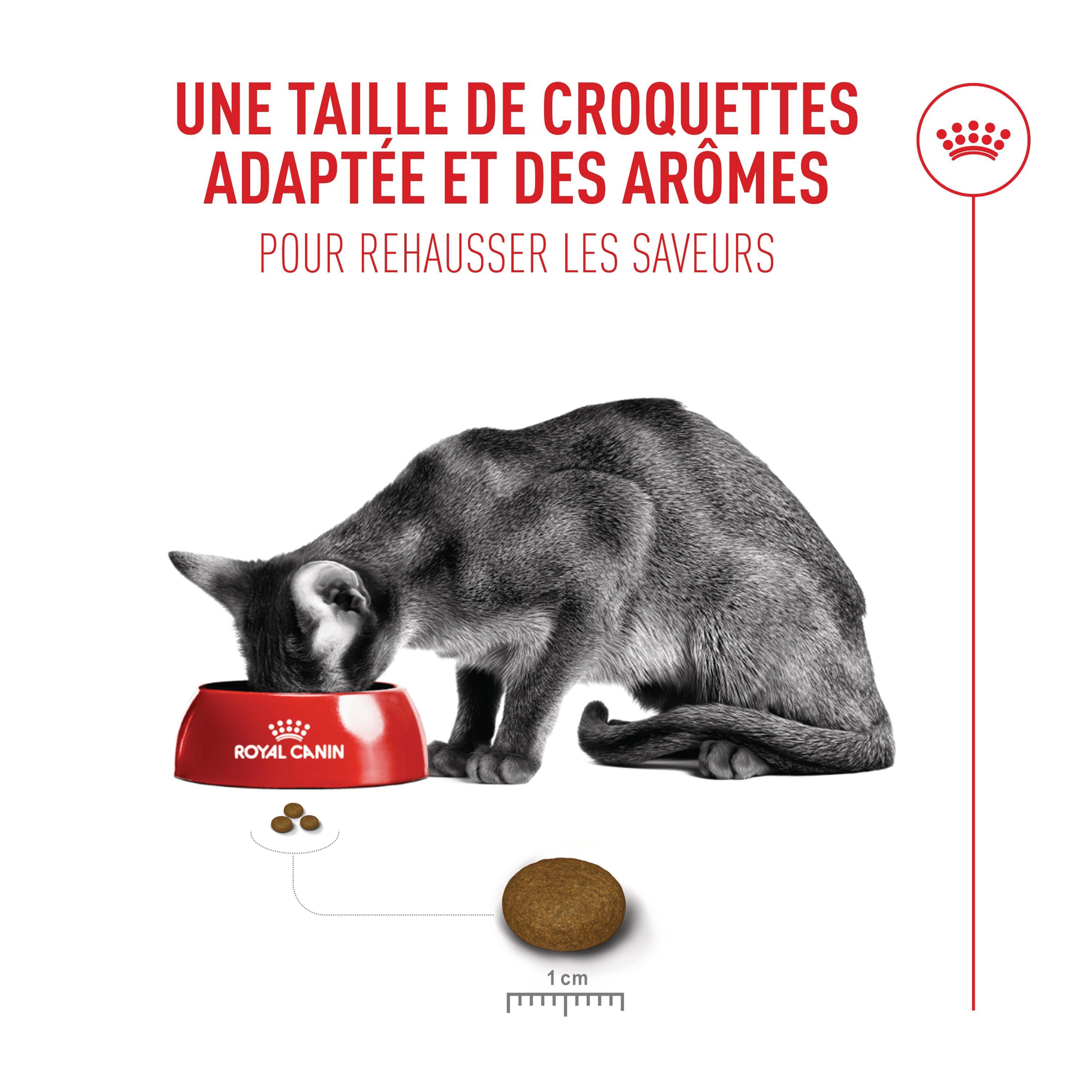 Royal Canin - Croquettes Fussy Exigent pour Chats Difficiles - 400g Image num&eacute;ro 6