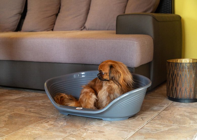 Ferplast - Corbeille Siesta Deluxe 4 Dark Grey pour Chiens Image numéro 6 Ferplast - Corbeille Siesta Deluxe 4 Dark Grey pour Chiens Image numéro 6
