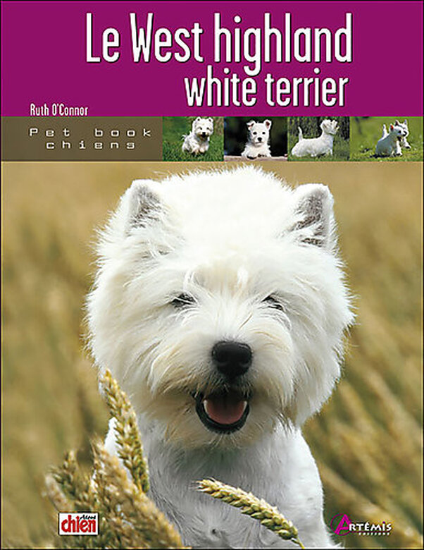 Artémis - La West Highland White Terrier image number null