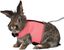 Trixie - Harnais Doux avec Laisse pour Grand Lapin - 40cm Indicateur image numéro 4