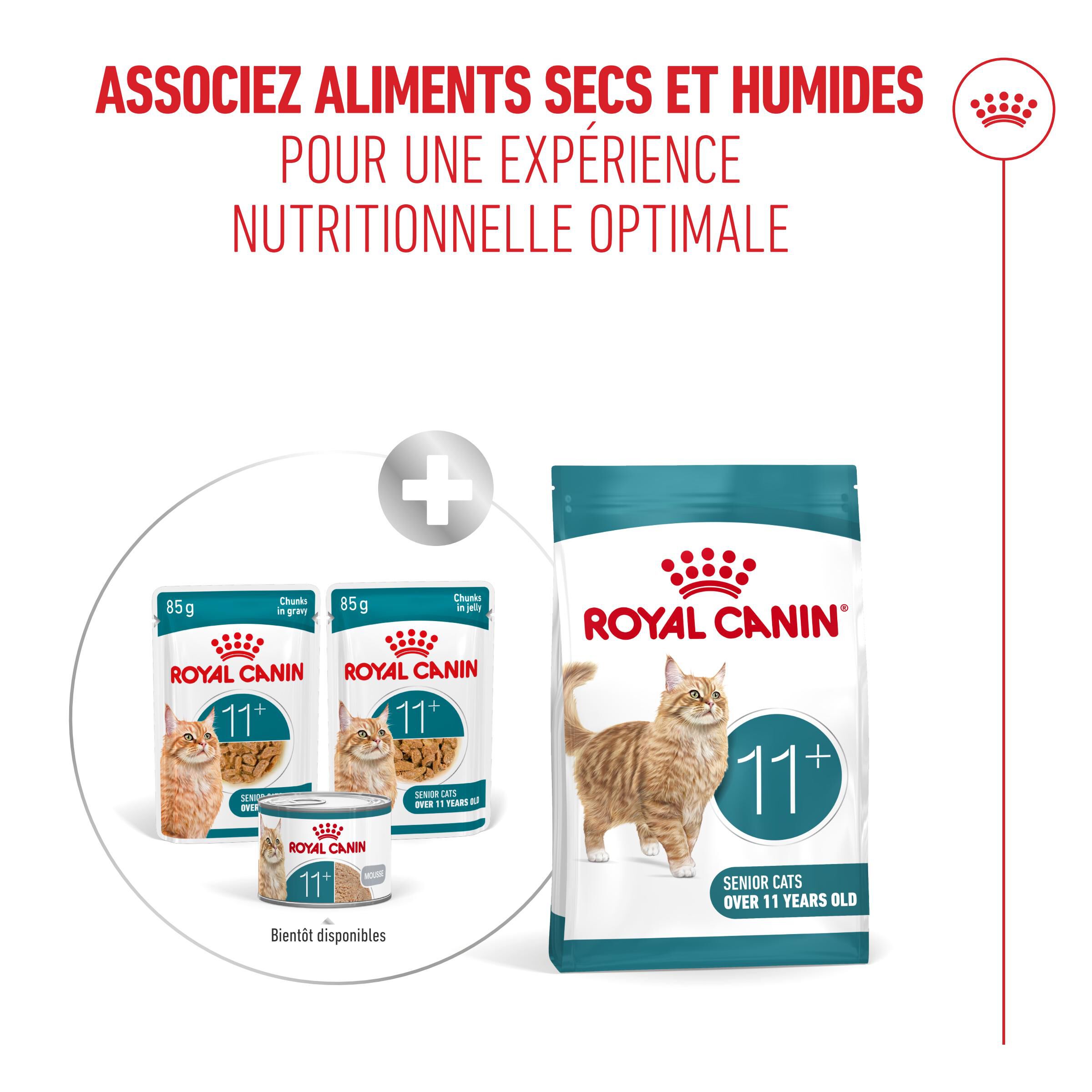Royal Canin - P&acirc;t&eacute;e en Sauce Ageing 11+ pour Chats Senior - 12x85g Image num&eacute;ro 8
