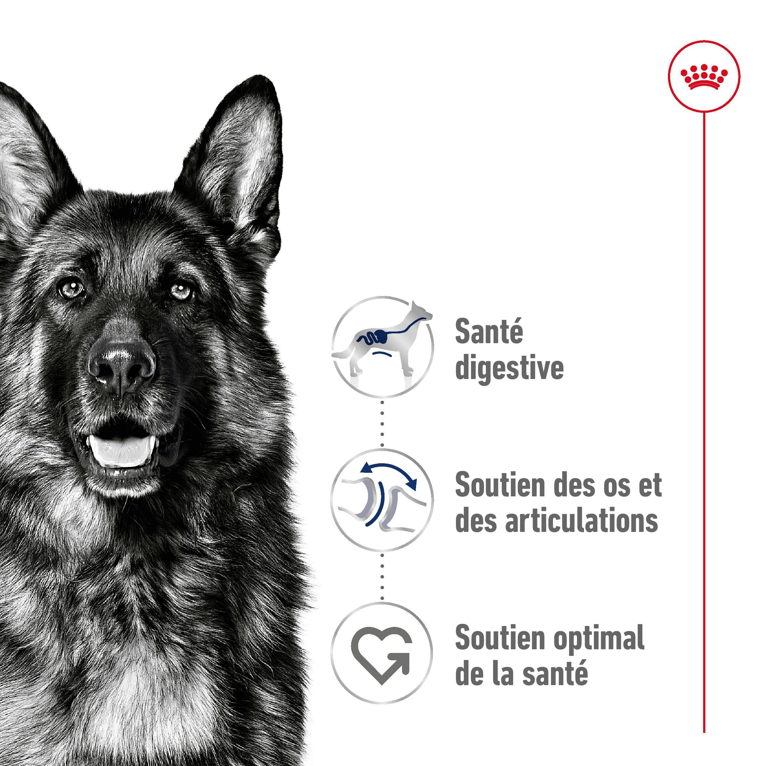 Royal Canin - P&acirc;t&eacute;e en Mousse Maxi Adult L - 410g Image num&eacute;ro 3