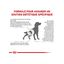 Royal Canin - Croquettes Veterinary Urinary S/O Moderate Calorie Pour Chiens - 6,5Kg Indicateur image numéro 3