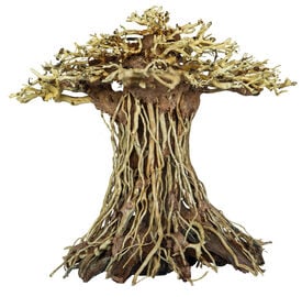Superfish - Racine Bonsai Mushroom pour Aquarium - L
