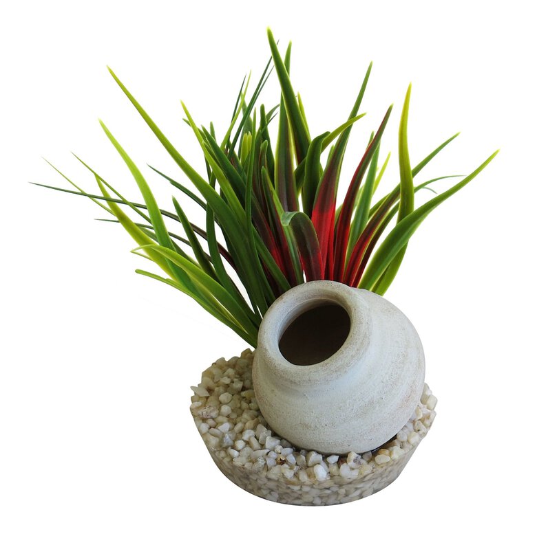 Sydeco - Décoration Plante Artificielle Jarre Gauloise pour Aquarium Image numéro 1 Sydeco - Décoration Plante Artificielle Jarre Gauloise pour Aquarium Image numéro 1