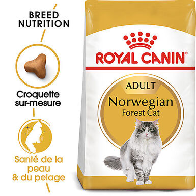 Royal Canin - Croquettes Norwegian Adult pour Chat