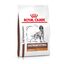Royal Canin - Croquettes Veterinary Diet Gastro Intestinal Low Fat Pour Chiens - 6kg Indicateur image num&eacute;ro 1