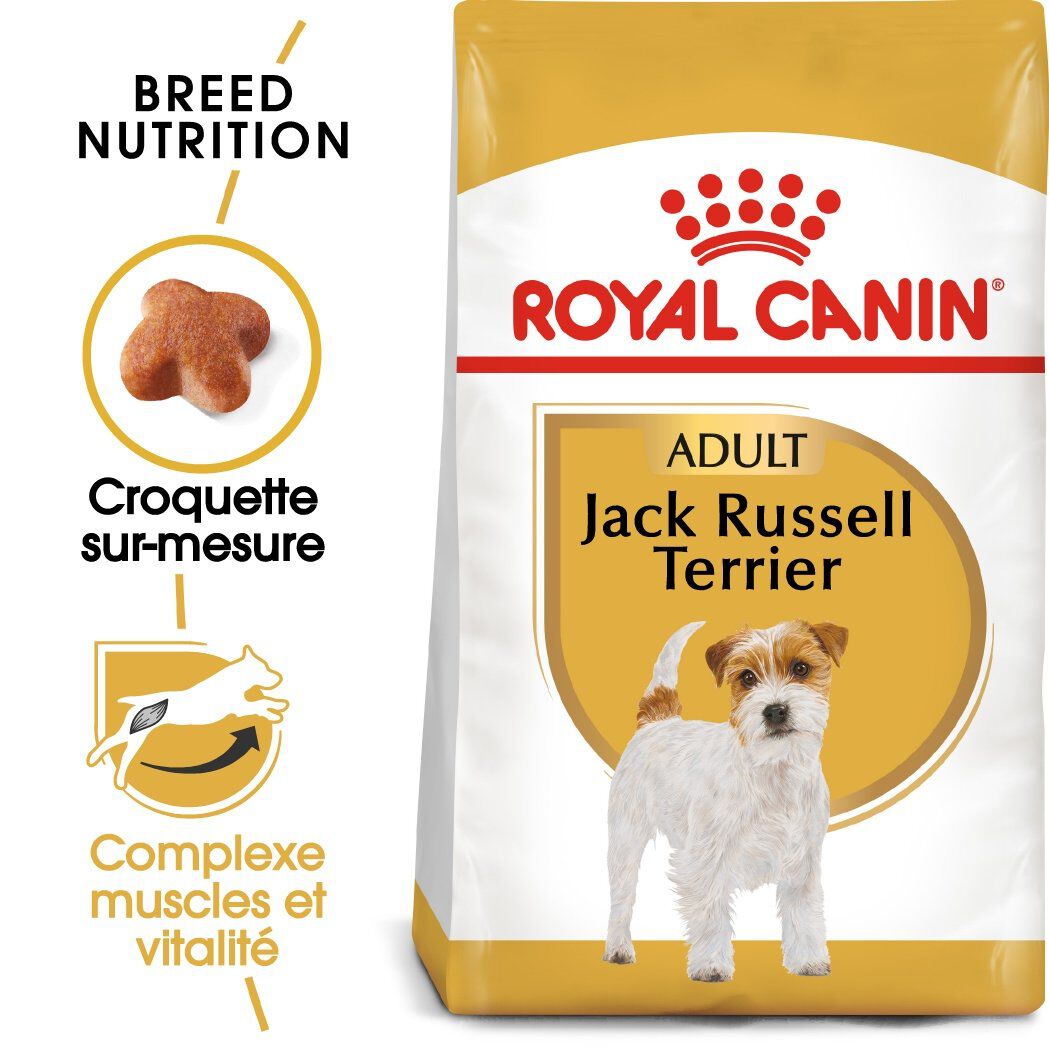 Royal Canin - Croquettes Jack Russel Terrier pour Chien Adulte - 3Kg Image num&eacute;ro 1