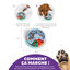 Outward Hound - Jeu de Réflexion Puppy Lickin' Layers Indicateur image numéro 3