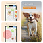 Weenect - Collier GPS XT Chiens - Orange Indicateur image numéro 5