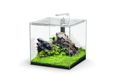 Aquatlantis - Aquarium Kubus 54L - Equipé