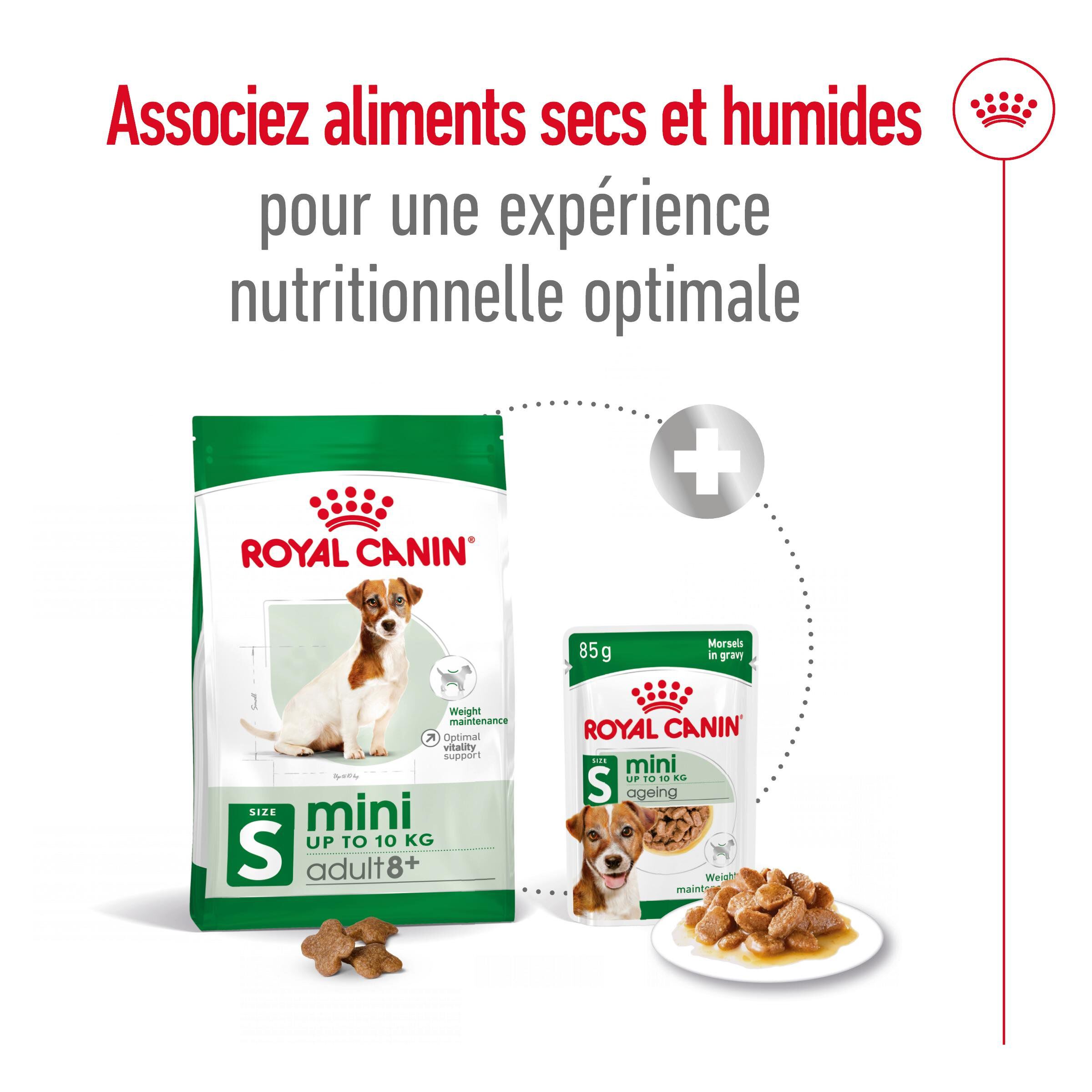 Royal Canin - Croquettes Mini 8+ pour Chien Adulte - 4Kg Image num&eacute;ro 3