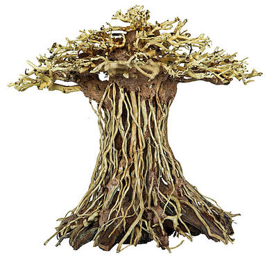 Superfish - Racine Bonsai Mushroom pour Aquarium - L