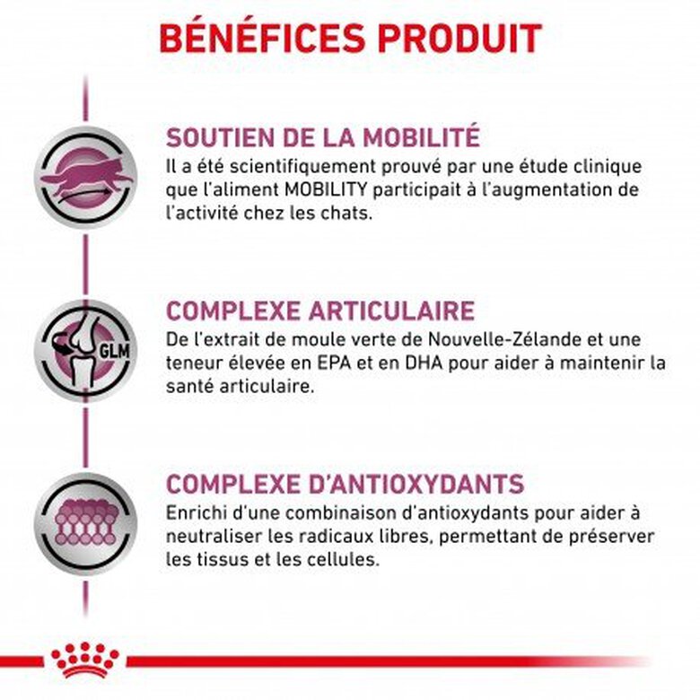 Royal Canin - Croquettes Veterinary Diet Mobility pour Chat - 2Kg Image numéro 5 Royal Canin - Croquettes Veterinary Diet Mobility pour Chat - 2Kg Image numéro 5