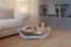 Ferplast - Corbeille Siesta Deluxe 8 Bordeaux pour Chiens Indicateur image numéro 7
