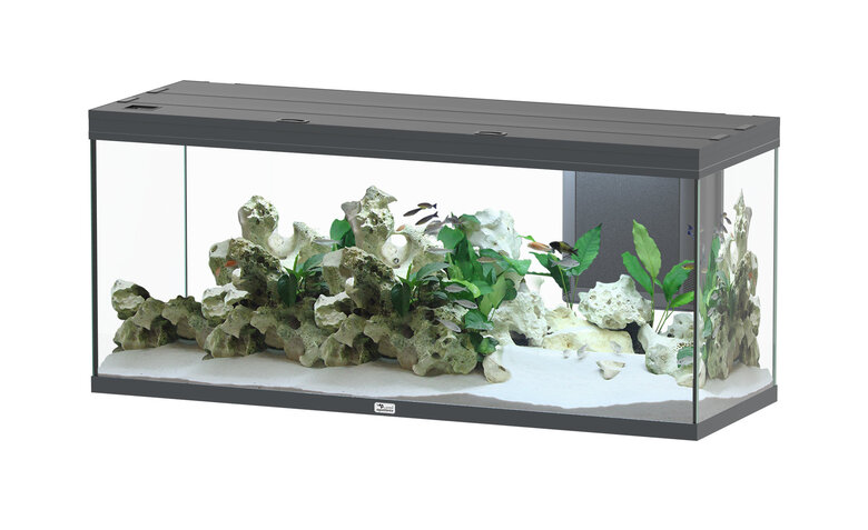 Aquatlantis - Aquarium Splendid Ultra Led RGBW Equipé 150x50x68cm - Gris Anthracite Image numéro 1 Aquatlantis - Aquarium Splendid Ultra Led RGBW Equipé 150x50x68cm - Gris Anthracite Image numéro 1