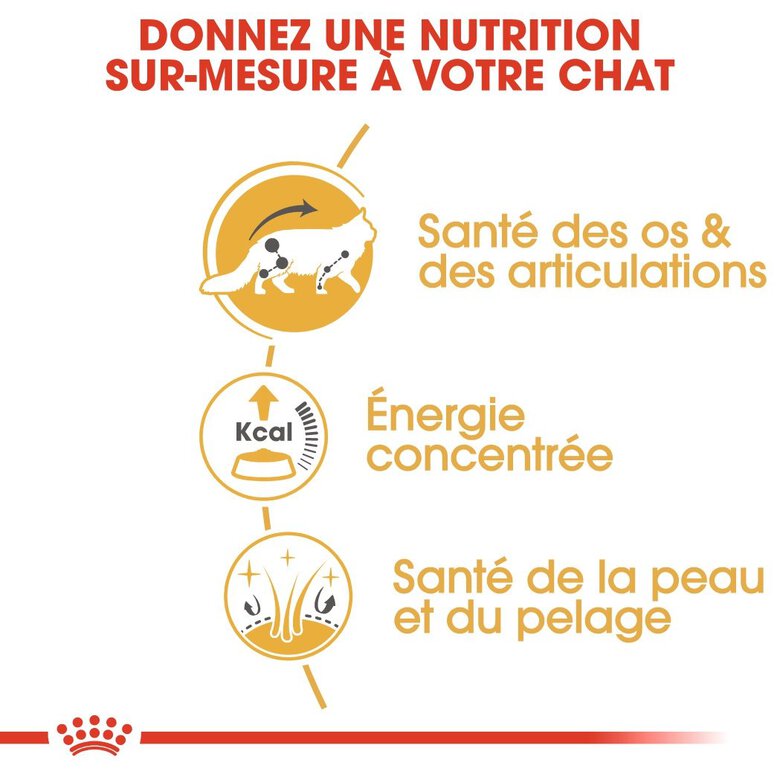 Royal Canin - Sachets Maine Coon en Sauce pour Chat - 12x85g Image numéro 4 Royal Canin - Sachets Maine Coon en Sauce pour Chat - 12x85g Image numéro 4