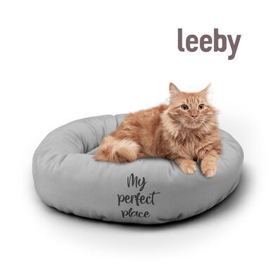 Leeby - Donut My Favourite Place Gris pour Chats