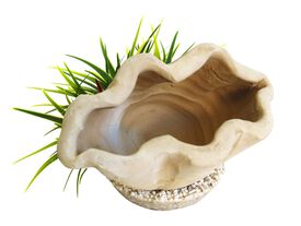 Sydeco - Décoration Plante Artificielle Benitier Large pour Aquarium